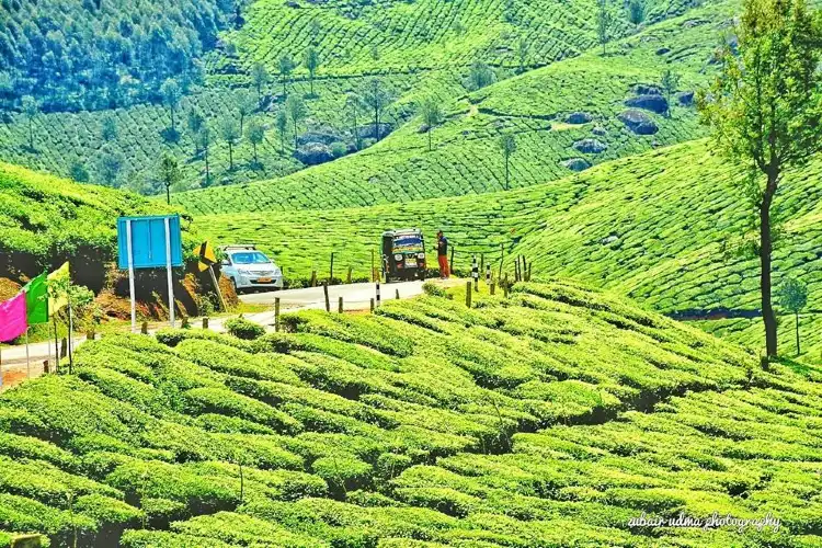 Theni