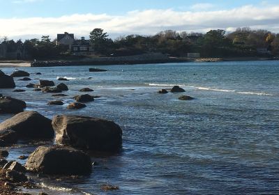 MBL Stony Beach