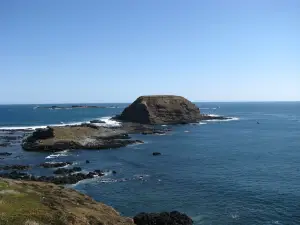Phillip Island Nature Parks