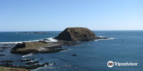菲利普島自然公園