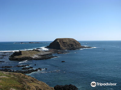 Phillip Island Nature Parks