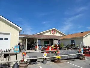 Orr's Farm Market