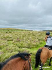 Shilstone Rocks Riding Centre