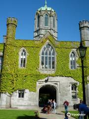 Université nationale d'Irlande à Galway