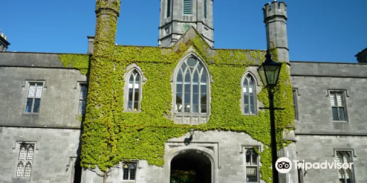 愛爾蘭國立大學戈爾韋