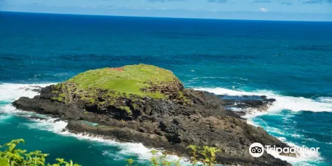 基拉威厄自然生物保護區
