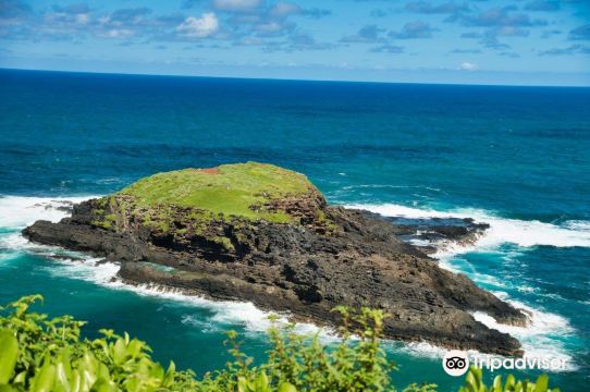 Kīlauea Point National Wildlife Refuge