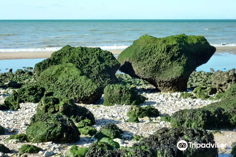 Falaise des Vaches Noires