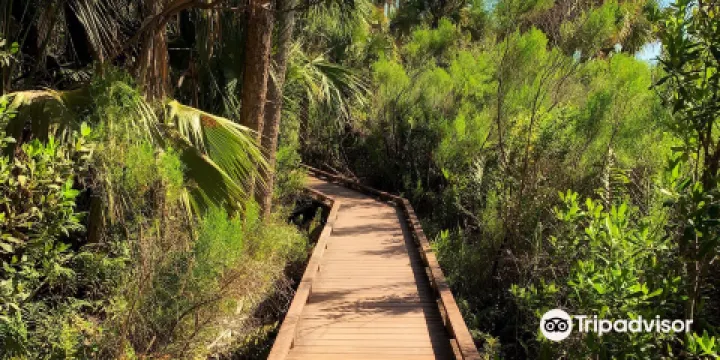 Caloosahatchee Creeks Preserve