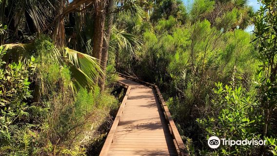 Caloosahatchee Creeks Preserve West