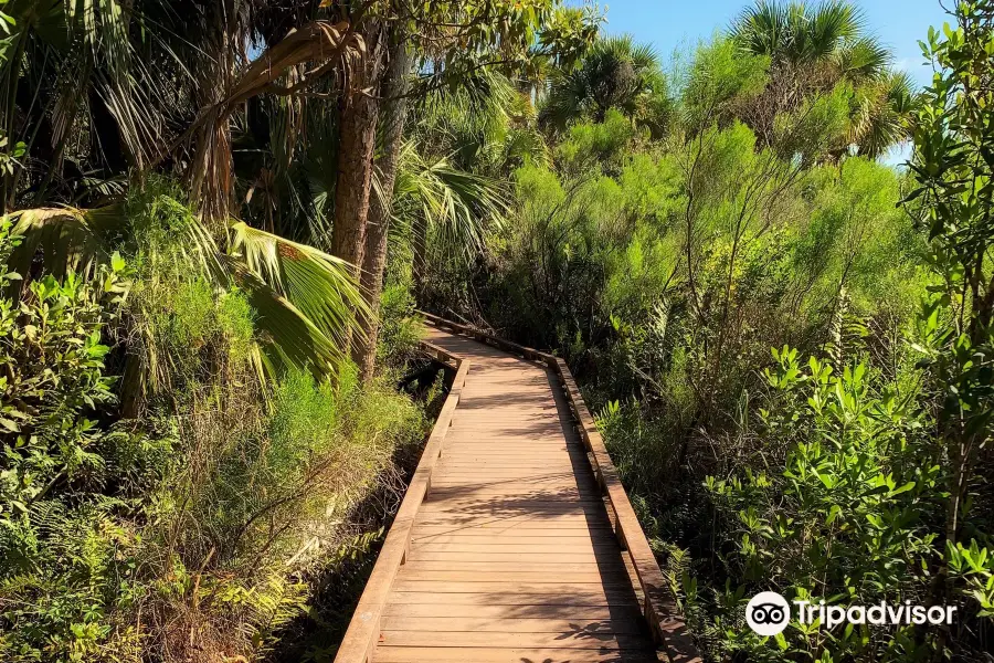 Caloosahatchee Creeks Preserve West