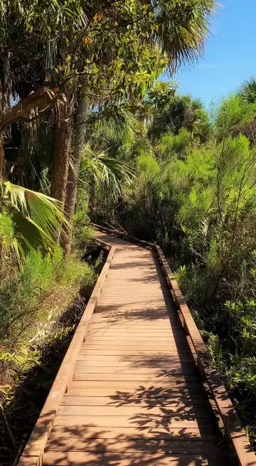 Hotels near Caloosahatchee Creeks Preserve West