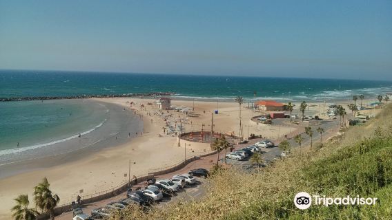 Poleg Beach