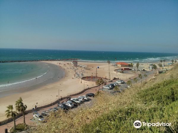 Poleg Beach