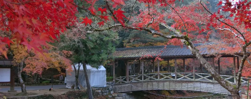佛通寺