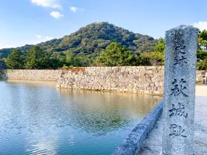 Ruins of Hagi Castle