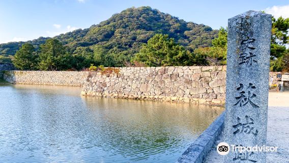 Hagi Castle Ruins