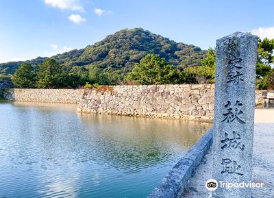 Hagi Castle Ruins