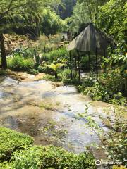 Jardin des Fontaines Pétrifiantes