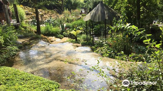 Fontaines Pétrifiantes Garden