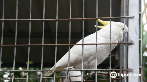 格洛德韋恩互動動物園