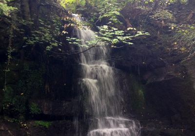 Harmby Waterfall