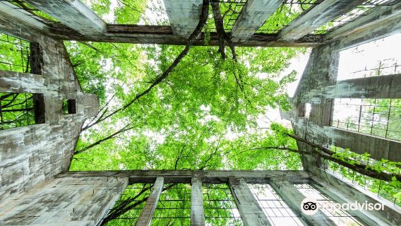 Ruines Carbide Willson