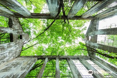 Ruines Carbide Willson