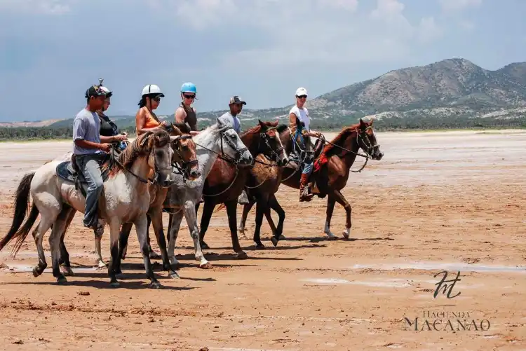 Hotels near Hacienda Macanao