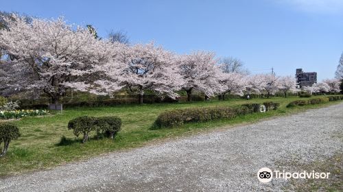 入間川遊歩道