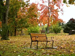 Gypsy Hill Park