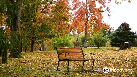 Gypsy Hill Park