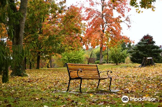 Gypsy Hill Park