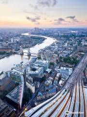 The View from The Shard