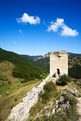 Alba