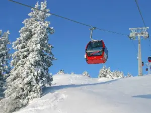 Kitzbühel Alps Panorama Lift GmbH