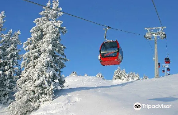 平茨高谷地霍勒爾斯巴赫