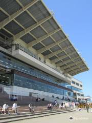 Kanazawa Horse Park