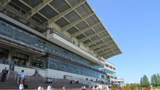 金沢競馬場