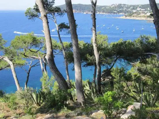 Sant Antoni de Calonge