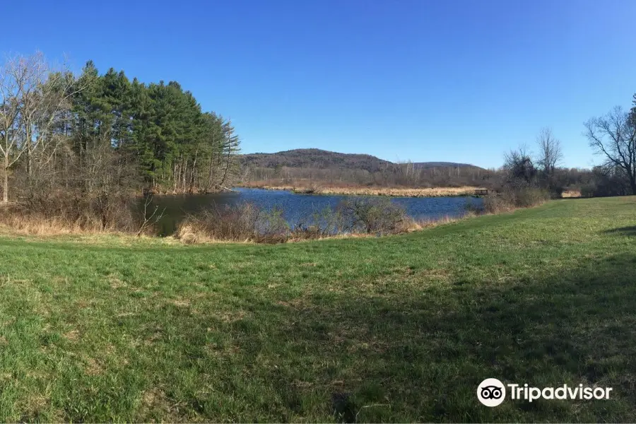 Mass Audubon Canoe Meadows Wildlife Sanctuary