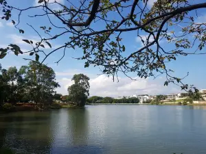 Lake Orpheus - Municipal Park