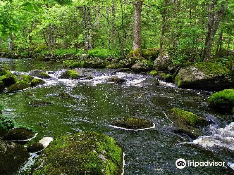 Mickey Hill Provincial Park