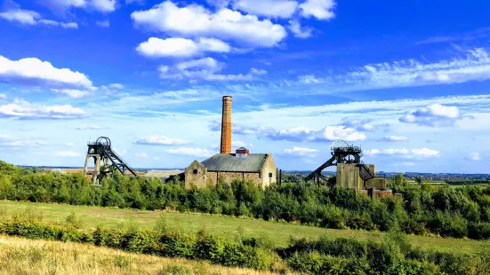 Pleasley Pit Country Park & Local Nature Reserve