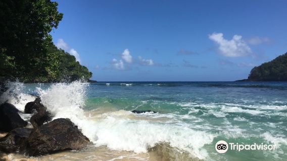 Fagatele Bay Trl
