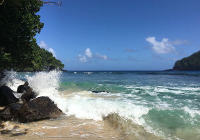Fagatele Bay Trl