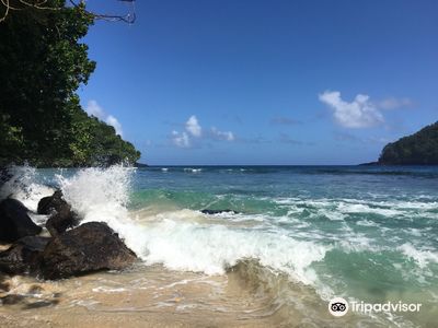 Fagatele Bay Trl