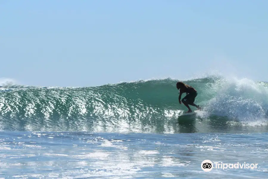 Good Vibes Surf Lessons