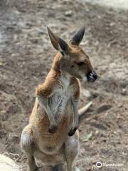 Ranger Red's Zoo & Conservation Park