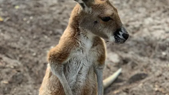 Ranger Red's Zoo & Conservation Park